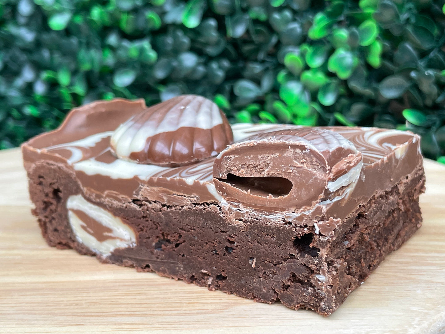 Belgian Seashell Brownie